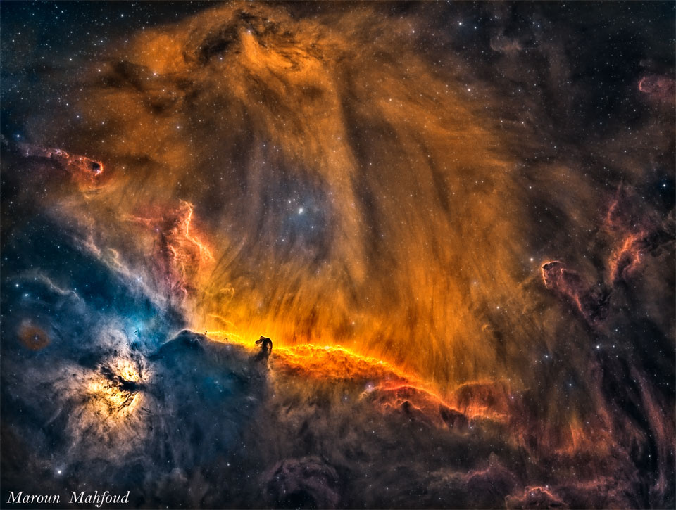 Opisywane zdjęcie pokazuje część gwiazdozbioru Oriona,
gdzie znajdują się mgławice Koński Łeb i Płomień. Gazowe
kosmki nad Mgławicą Koński Łeb przypominają na tej
długo naświetlanej ekspozycji głowę Lwa. Zobacz opis.
Po kliknięciu obrazka załaduje się wersja o największej dostępnej
rozdzielczości.
