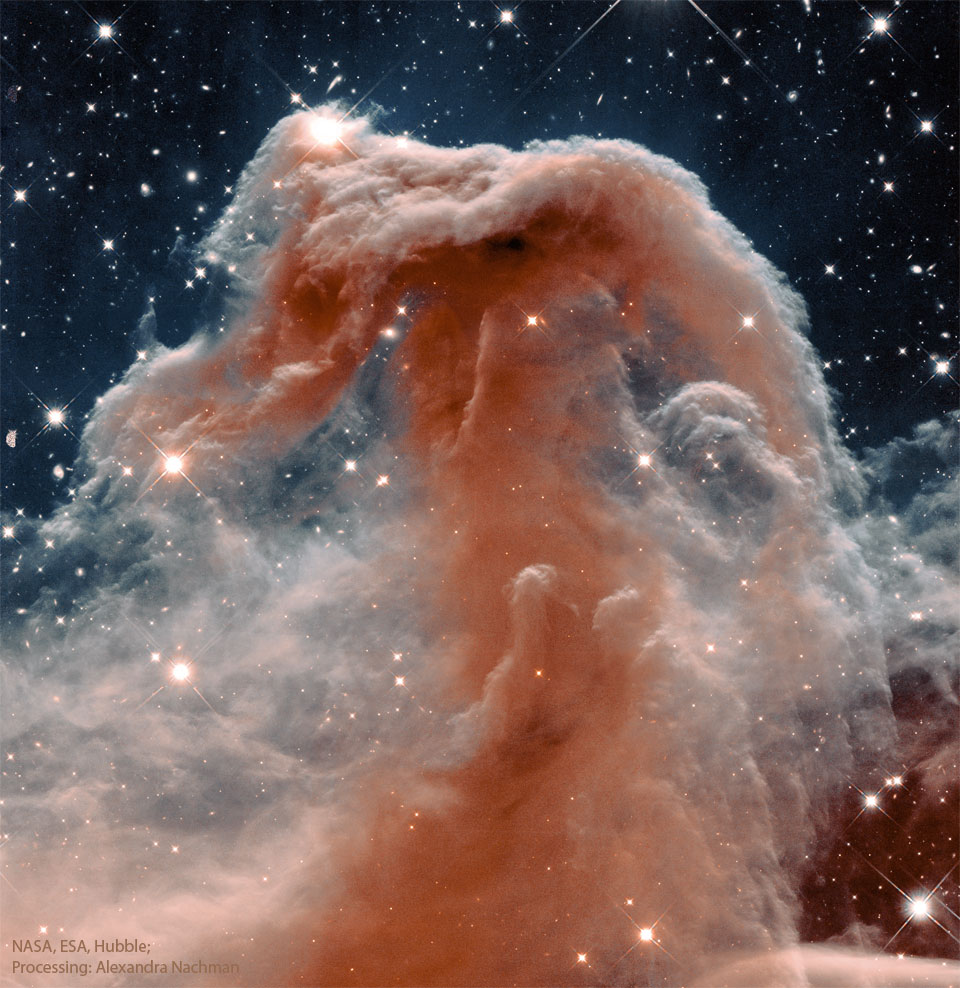 Opisywane zdjęcie ukazuje słynną Mgławicę Koński Łeb
w ujęciu w podczerwieni z Teleskopu Hubble'a. Zobacz opis.
Po kliknięciu obrazka pokaże się wersja o największej dostępnej rozdzielczości.