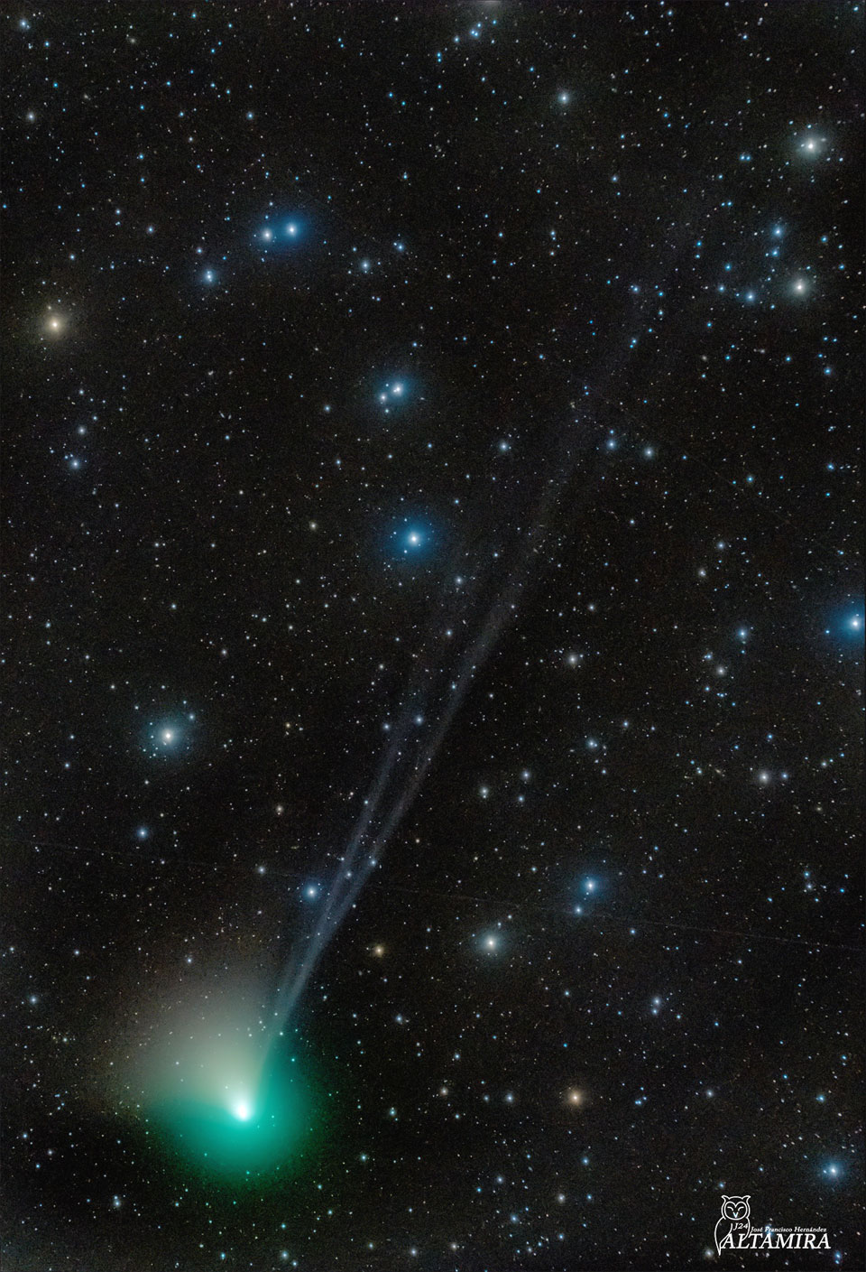 Na zdjęciu nowa kometa ZTF, rozwijająca trzy warkocze na tle gwiazd. Więcej szczegółowych informacji w opisie poniżej.