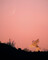 Thumbnail image. Click to load APOD for this date