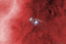 Thumbnail image. Click to load APOD for this date