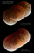 Thumbnail image. Click to load APOD for this date