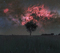 Thumbnail image. Click to load APOD for this date