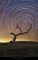 Thumbnail image. Click to load APOD for this date