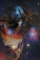 Thumbnail image. Click to load APOD for this date