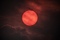 Thumbnail image. Click to load APOD for this date