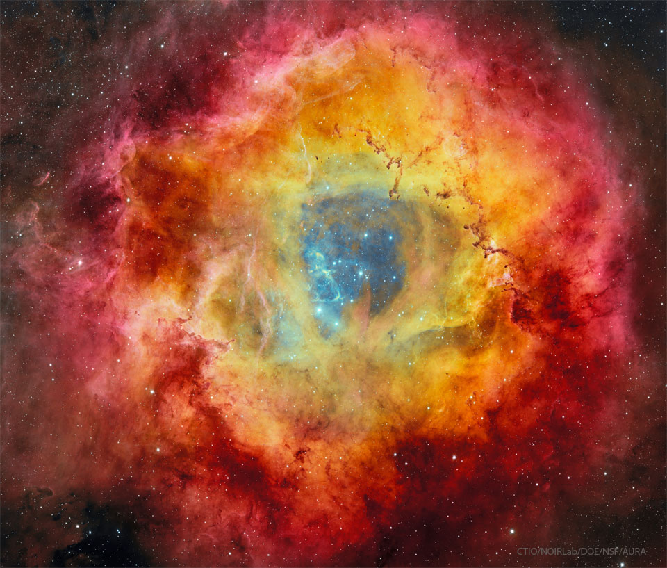 A deep image of the Rosette Nebula is shown along 
with a field of stars. As many color filters were used, 
the flowery nebula takes on many colors with blue in the
center, yellow and orange around the blue, and red 
around the outside. 
Więcej szczegółowych informacji w opisie poniżej.