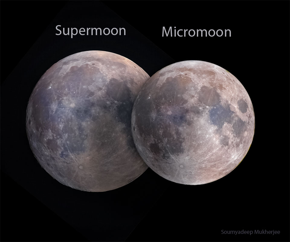 Na obrazku pokazano dwa zdjęcia Księżyca, oba w fazie
pełni. Lewe zdjęcie, oznaczone &bdquo;Supermoon&rdquo;
jest troszkę większe od zdjęcia po prawej, oznaczonego
&bdquo;Micromoon&rdquo;.
Zobacz opis. Po kliknięciu obrazka załaduje się wersja
 o&nbsp;największej dostępnej rozdzielczości.