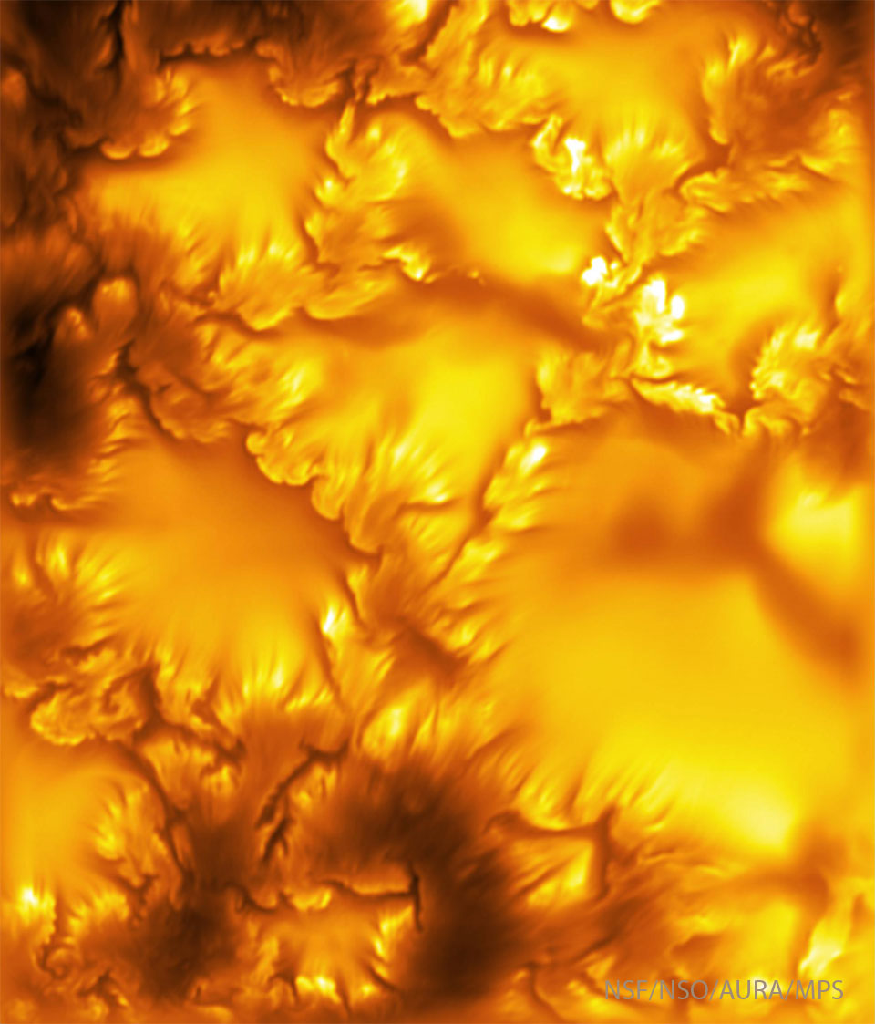 A image shows flowery dark and light structures
on a yellow background. 
Więcej szczegółowych informacji w opisie poniżej.